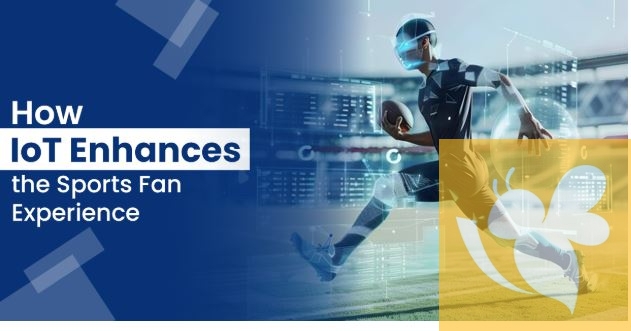 How IoT Enhances the Sports Fan Experience