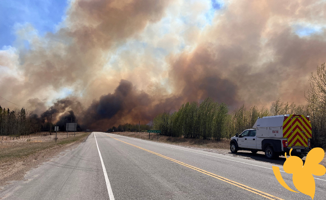 Canadian wildfires trigger mass evacuations