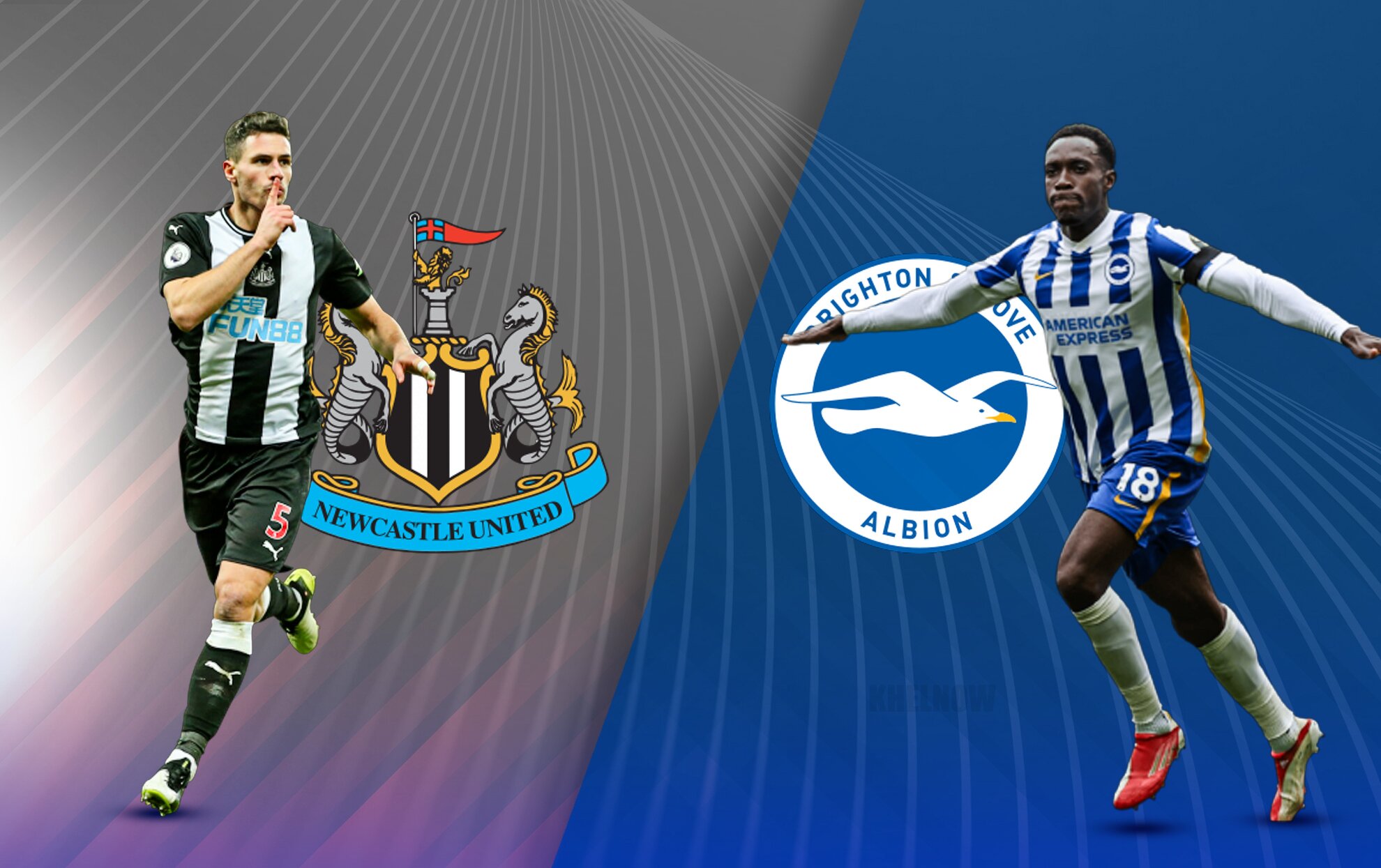 FA Cup: Newcastle vs Brighton Prediction , free live streaming and lineups