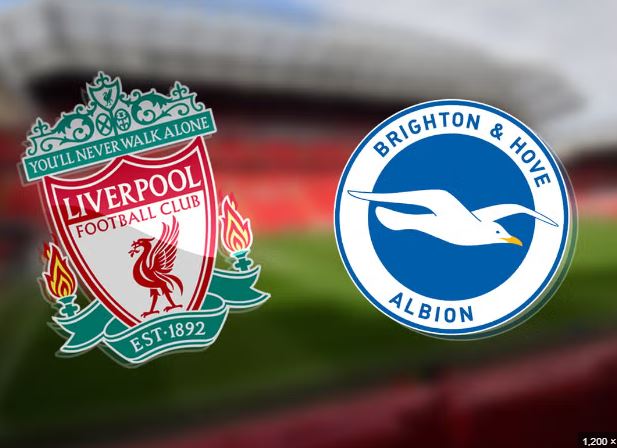 Liverpool vs Brighton prediction match Preview and Prediction and live stream