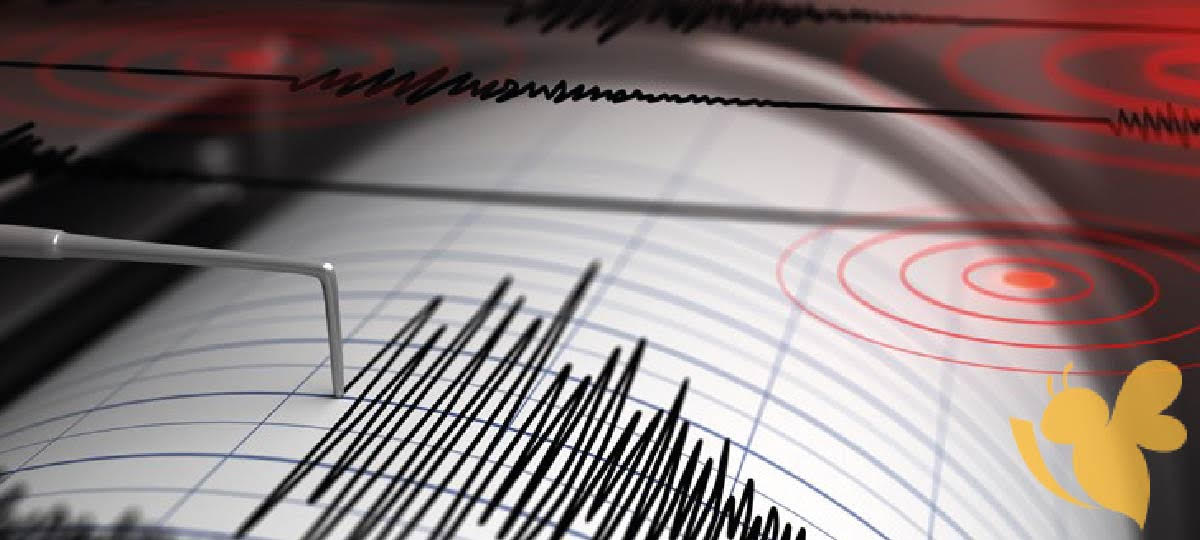 Small earthquakes reported near Buford