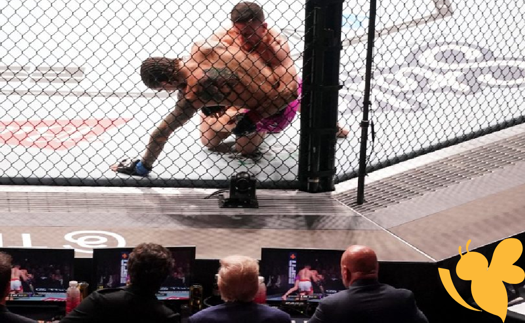 UFC 316: Dvalishvili, Harrison victorious
