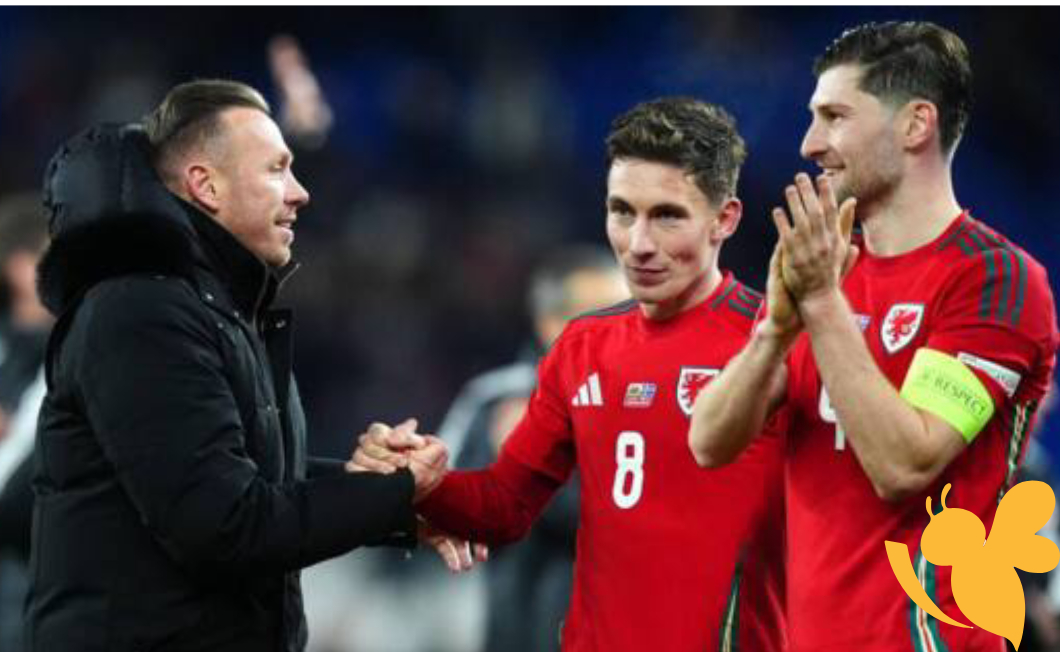 Watch match live Belgium vs Wales - prediction & lineups