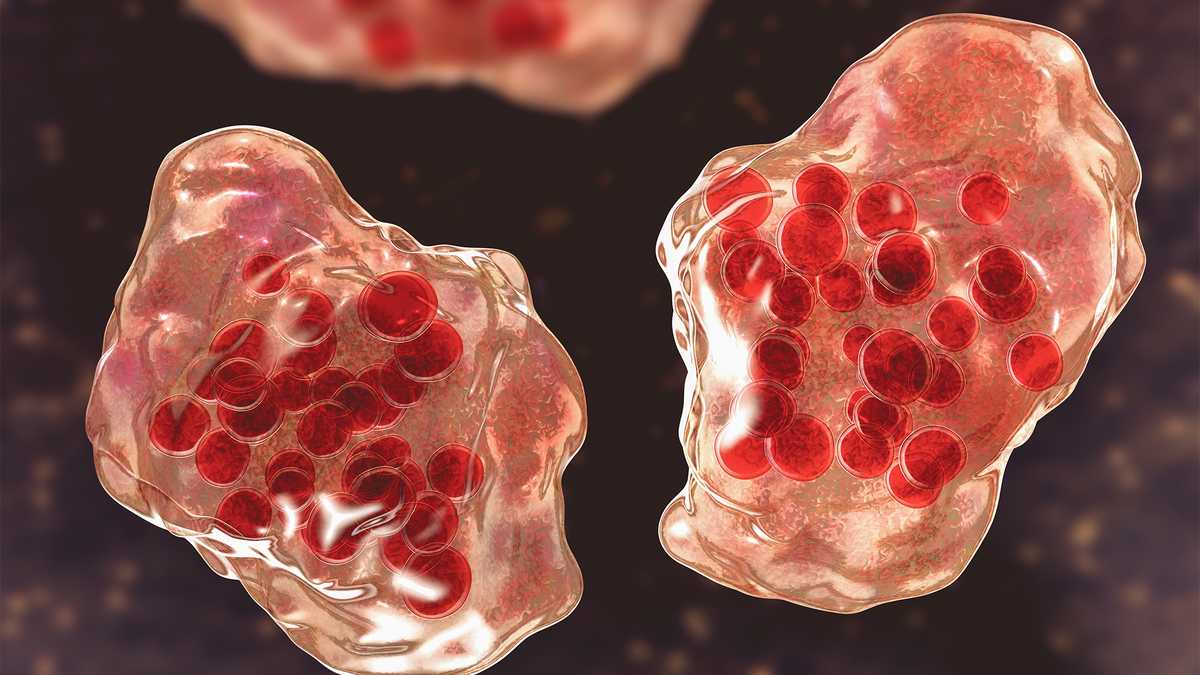 Measles Alert in Maryland: Dulles Airport Travelers at Risk