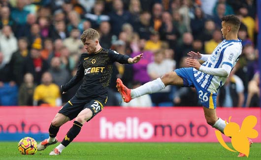 Wolves vs Brighton Showdown: Where to Watch, Predictions & Team Lineups
