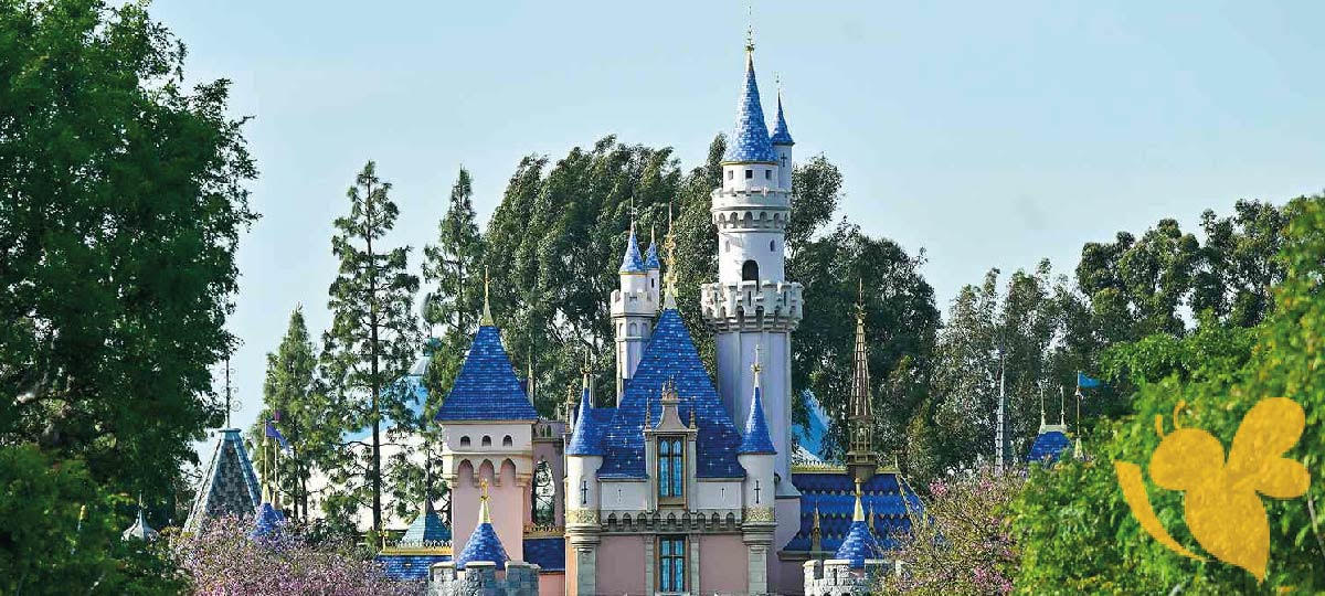 Disneyland Employee Died in Theme Park Accident