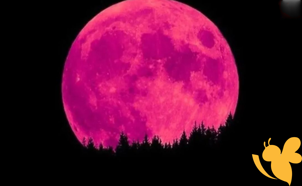 Rare lunar standstill coincides with Strawberry Moon, promising a dazzling night sky