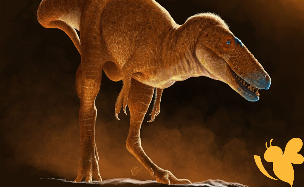 New dinosaur discovery rewrites T. rex family tree
