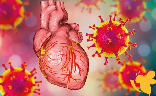 Genome-wide association study of post-COVID-19 vaccination myocarditis and pericarditis