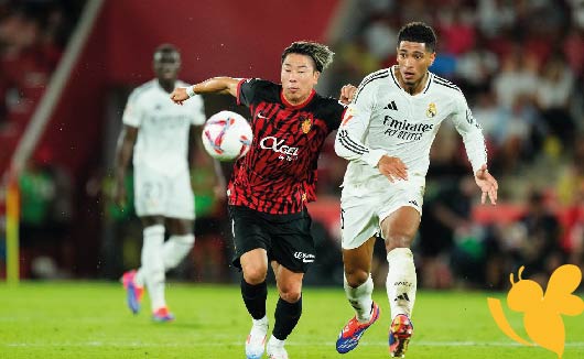 Real Madrid vs. Mallorca: live streaming , Predictions and Lineups
