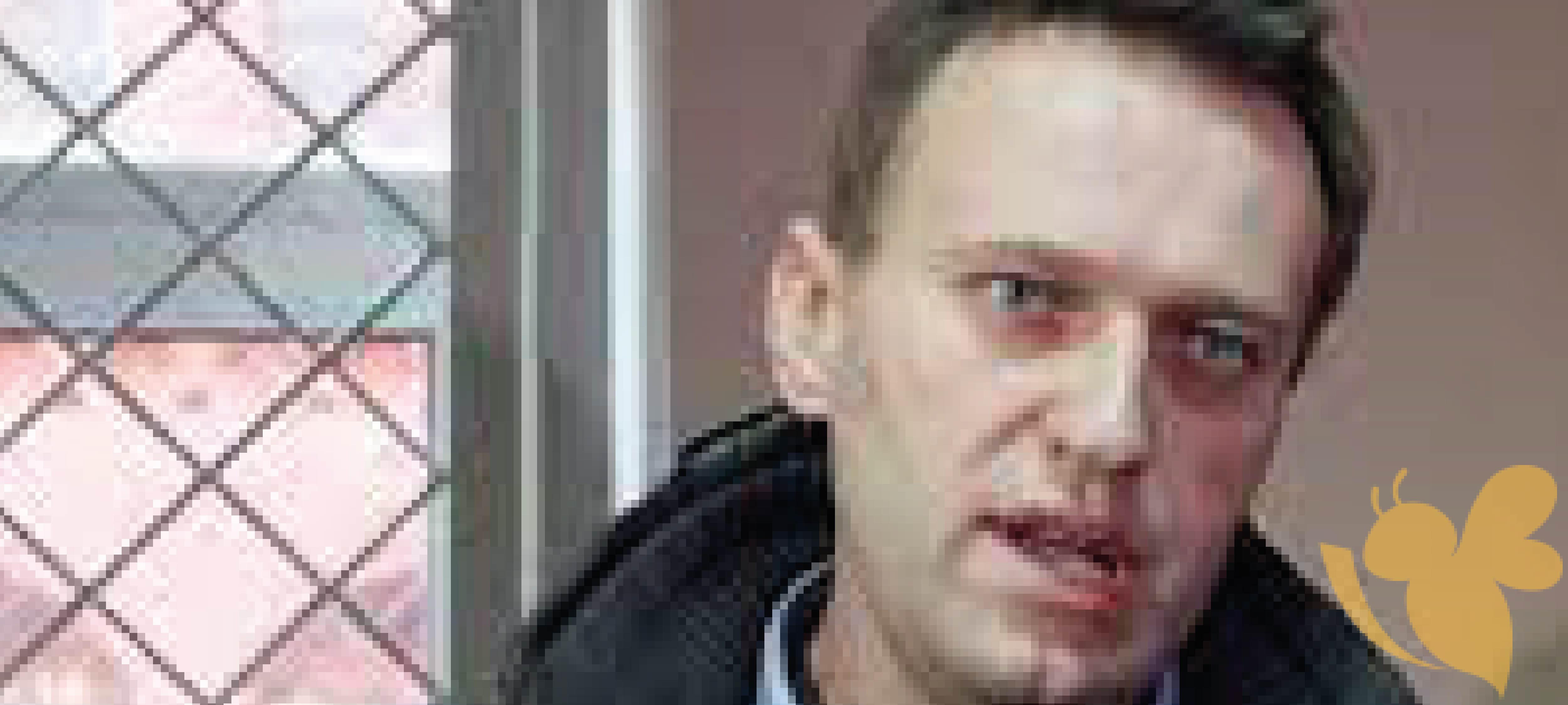 The Death of Alexei Navalny Protests, poisoning and prison