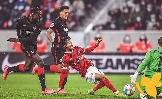 Champions League: Freiburg vs. Eintracht Frankfurt preview - live stream , prdictions and confirmed lineups