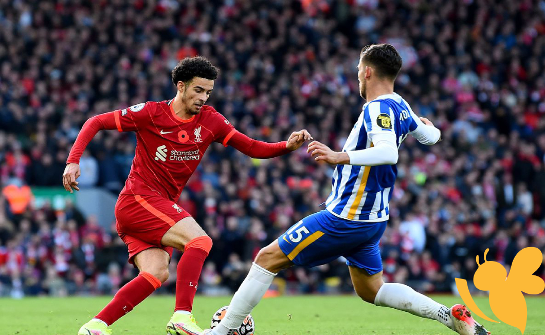 Brighton & Hove Albion vs. Liverpool - lineups , live streaming and predictions