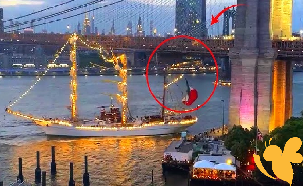 Navy Training Vessel from Mexico Strikes Brooklyn Bridge