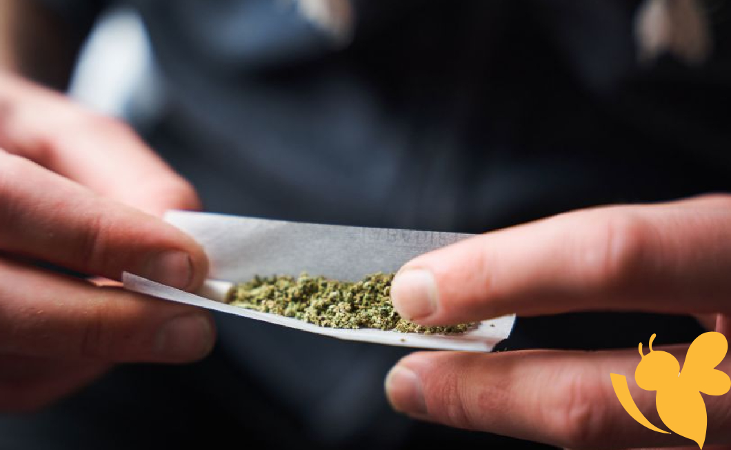 Study links cannabis use to doubled risk of heart-related deaths