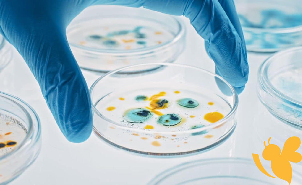 New Bacterial Strain with Surprising Capabilities Found in Space by Chinese Researchers