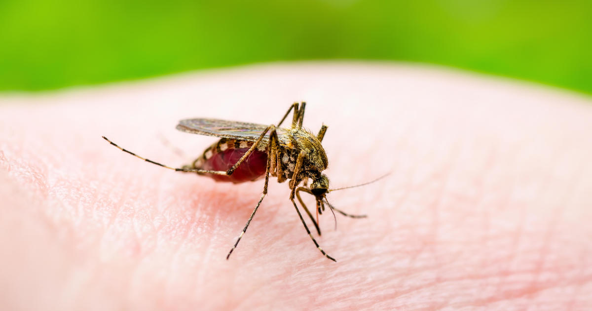 New York state declares EEE virus an imminent threat to the public after one resident dies