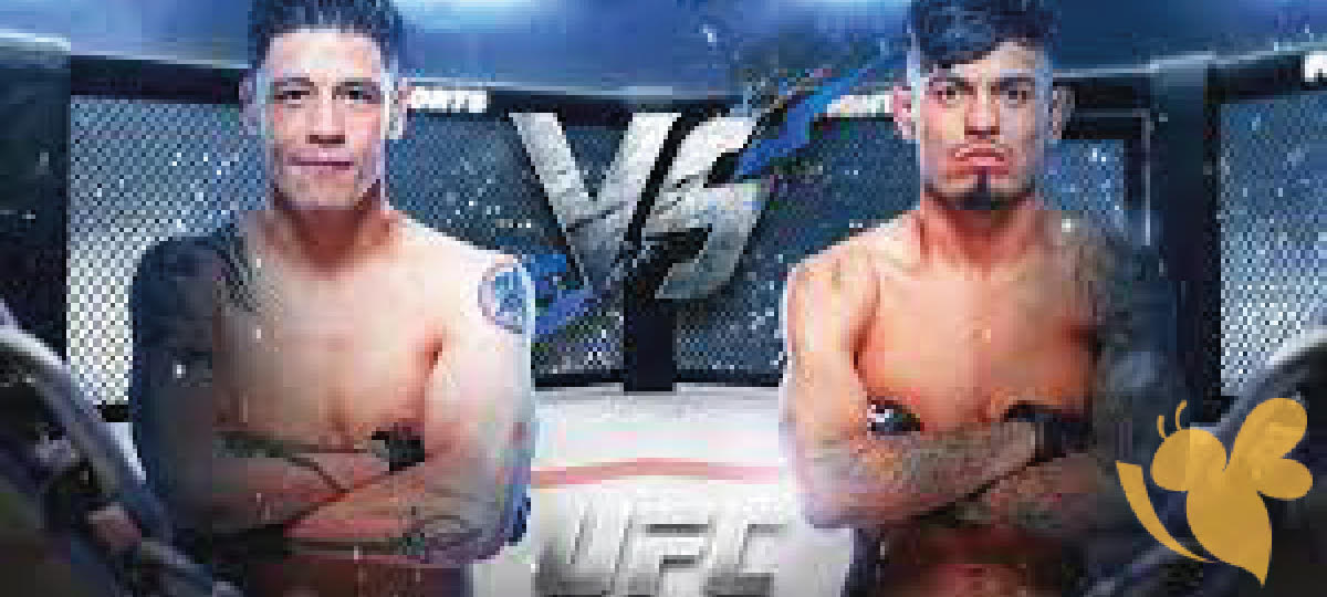 UFC Mexico City: Moreno vs. Royval 2