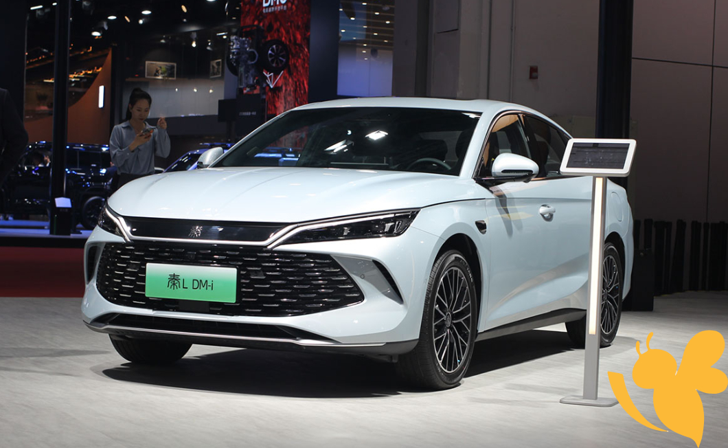 BYD shares fall 8% following EV price cuts