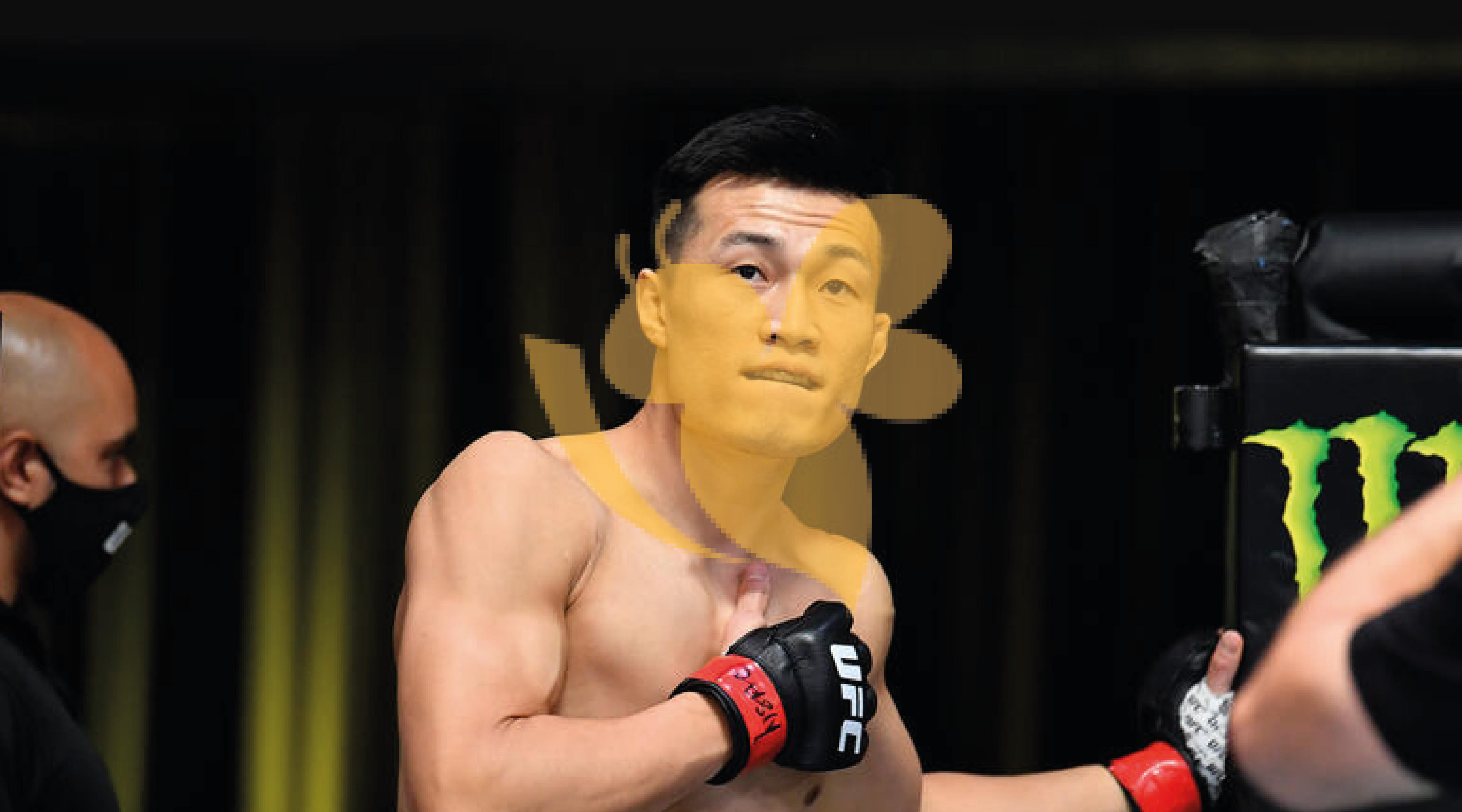 UFC Season 2 semifinals: Holloway vs The Korean Zombie