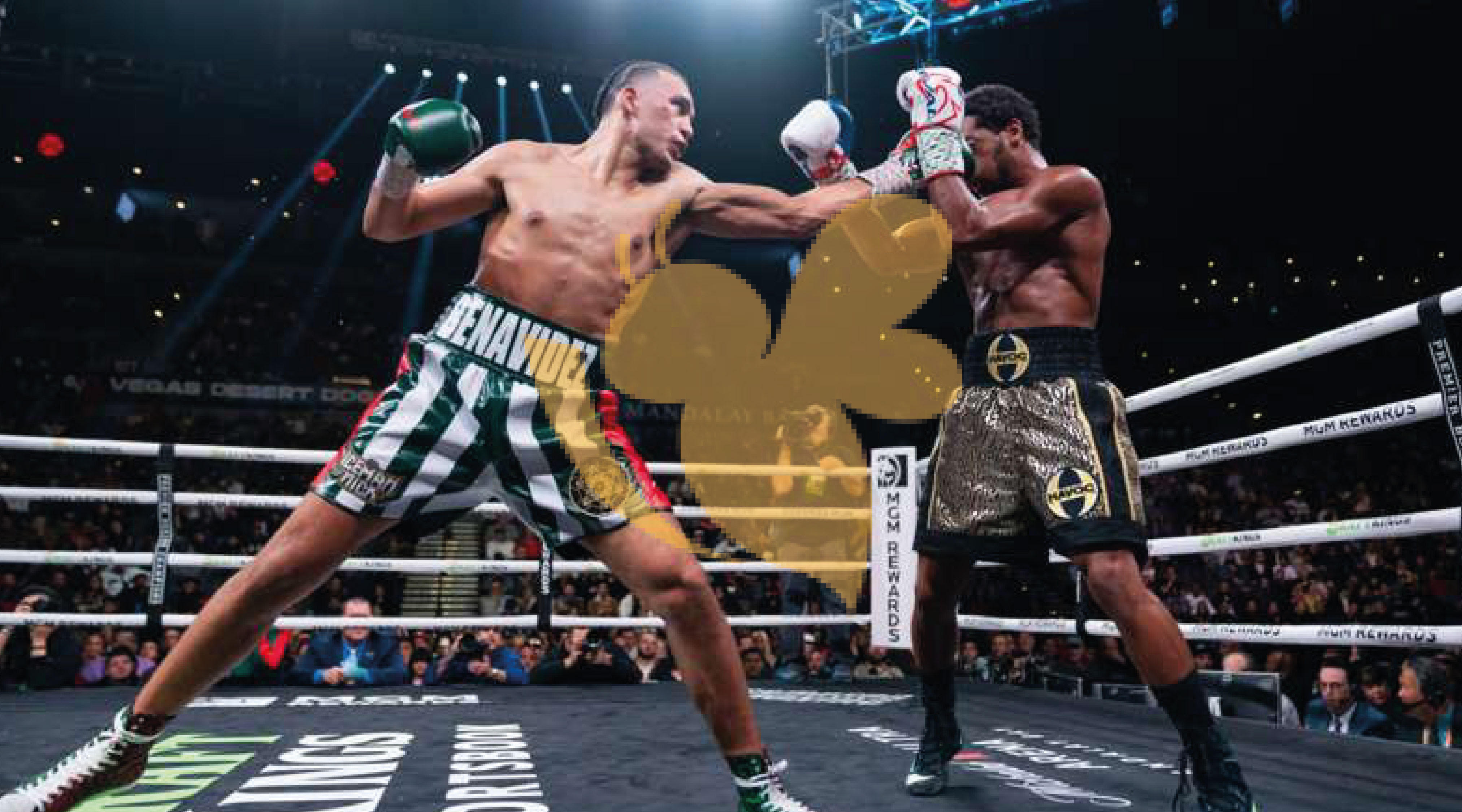 Benavidez knocked out Andrade and challenged Canelo next
