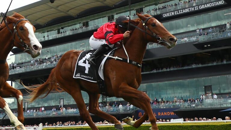 Tragic Loss of Racehorse King Kirk at Randwick Racecourse