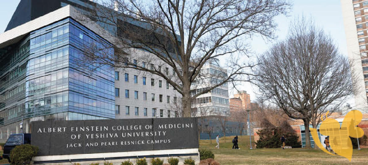 Albert Einstein College of Medicine get a donation $1 billion to cover tuition at a Bronx medical school forever
