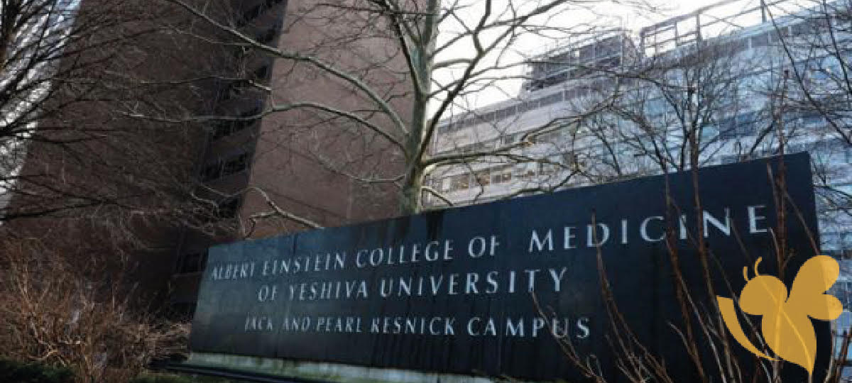 New York medical school offers free tuition for all students after huge donation