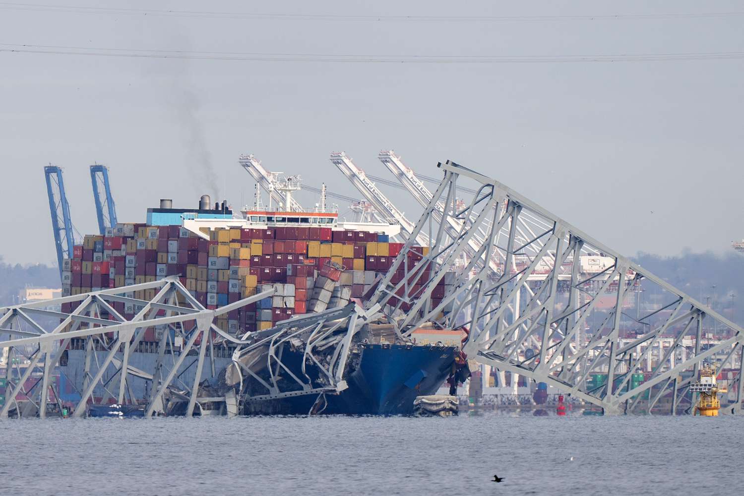 Baltimore Francis Scott Key Bridge collapse