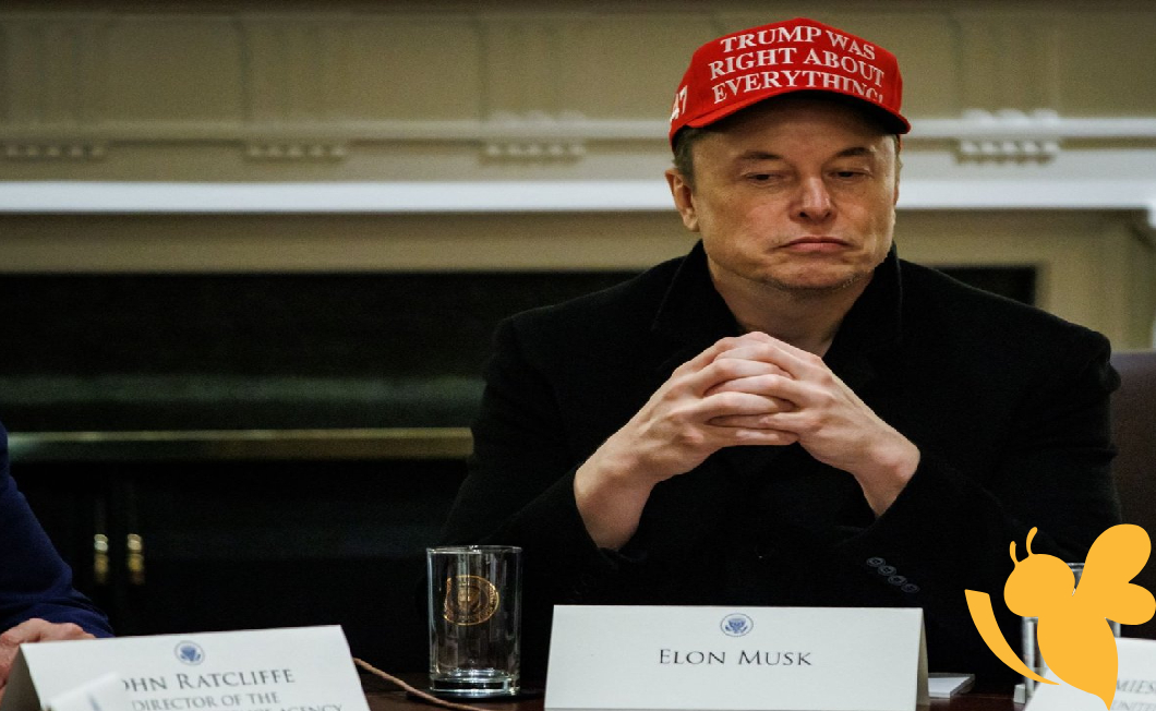 Elon Musk step back from US government role after breaking with Trump on tax bill