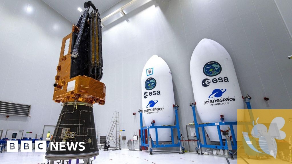 ESA launches Biomass satellite to unlock secrets of worlds forests