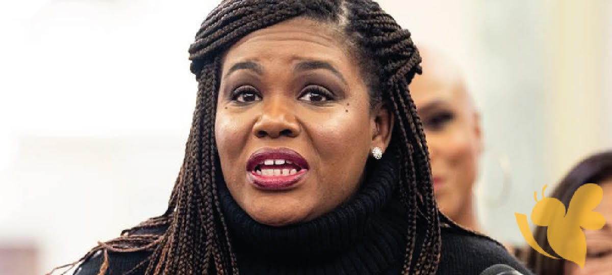 Justice department investigating Cori Bushs spending tax dollars for personal security