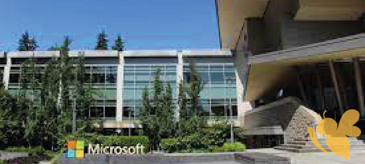 Microsoft Beats December-Quarter Targets