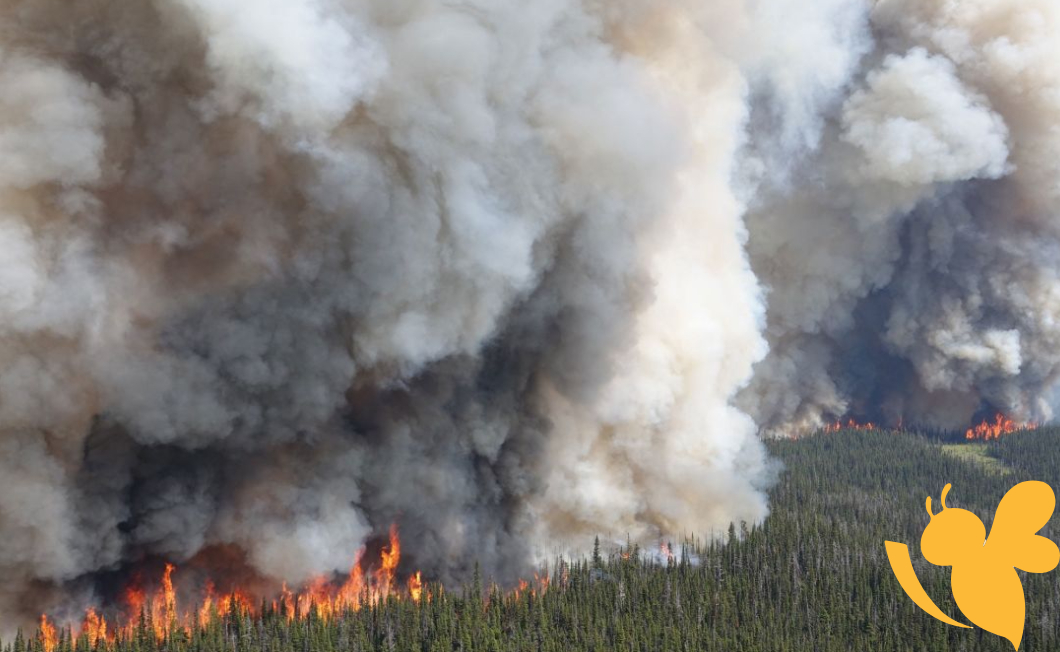 Midwest Air Quality Suffers Due to Canadian Wildfires