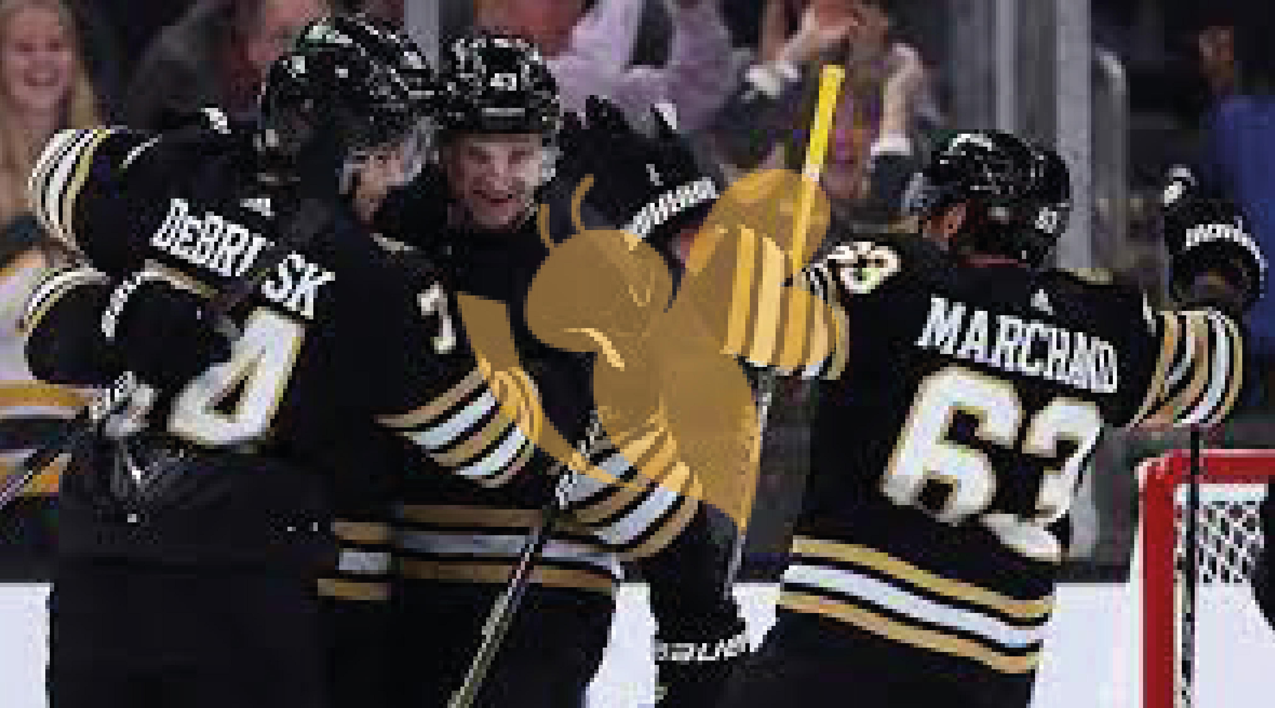 Bruins vs. Florida Panthers 2-3